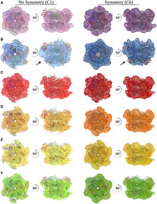 Thicker Ice Improves the Integrity and Angular Distribution of CDC48A Hexamers on Cryo-EM Grids